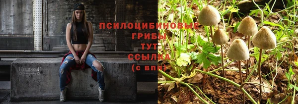 амф Балабаново